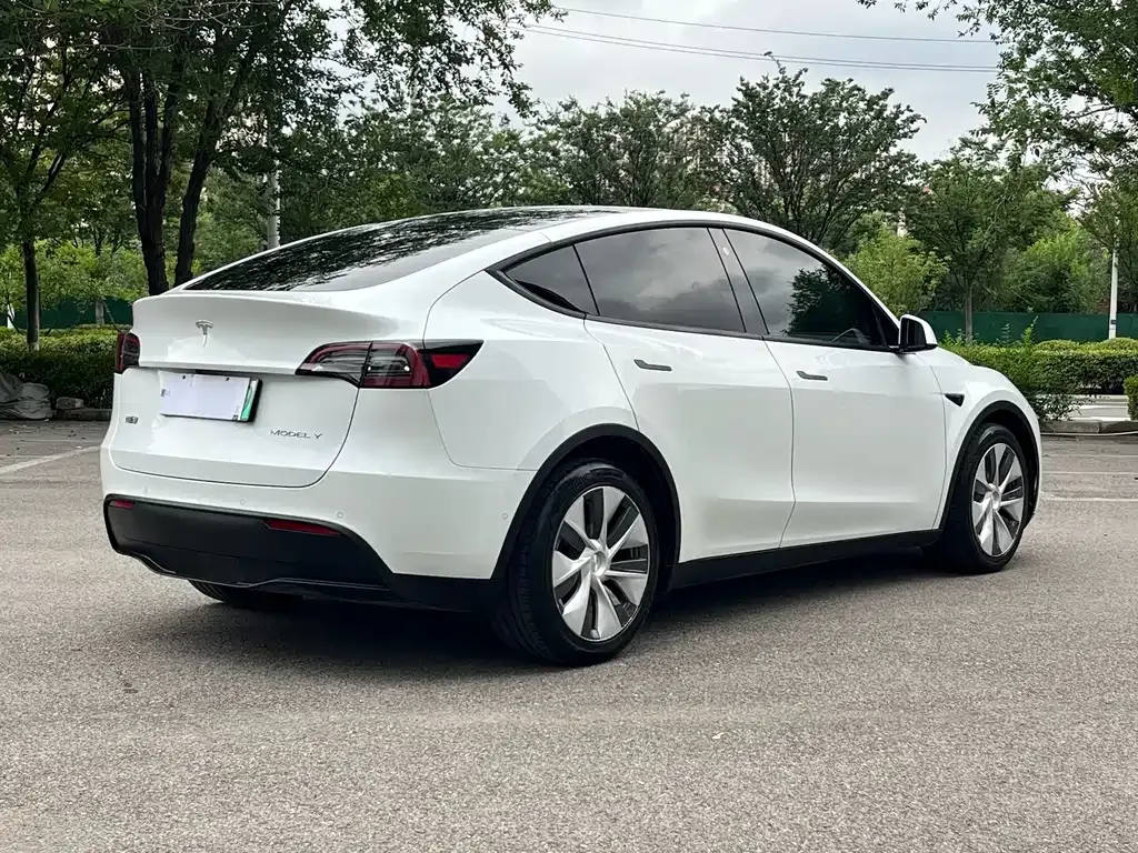 Tesla Model Y — фото 8