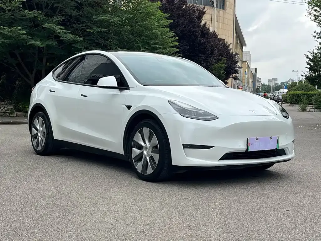 Tesla Model Y — фото 5