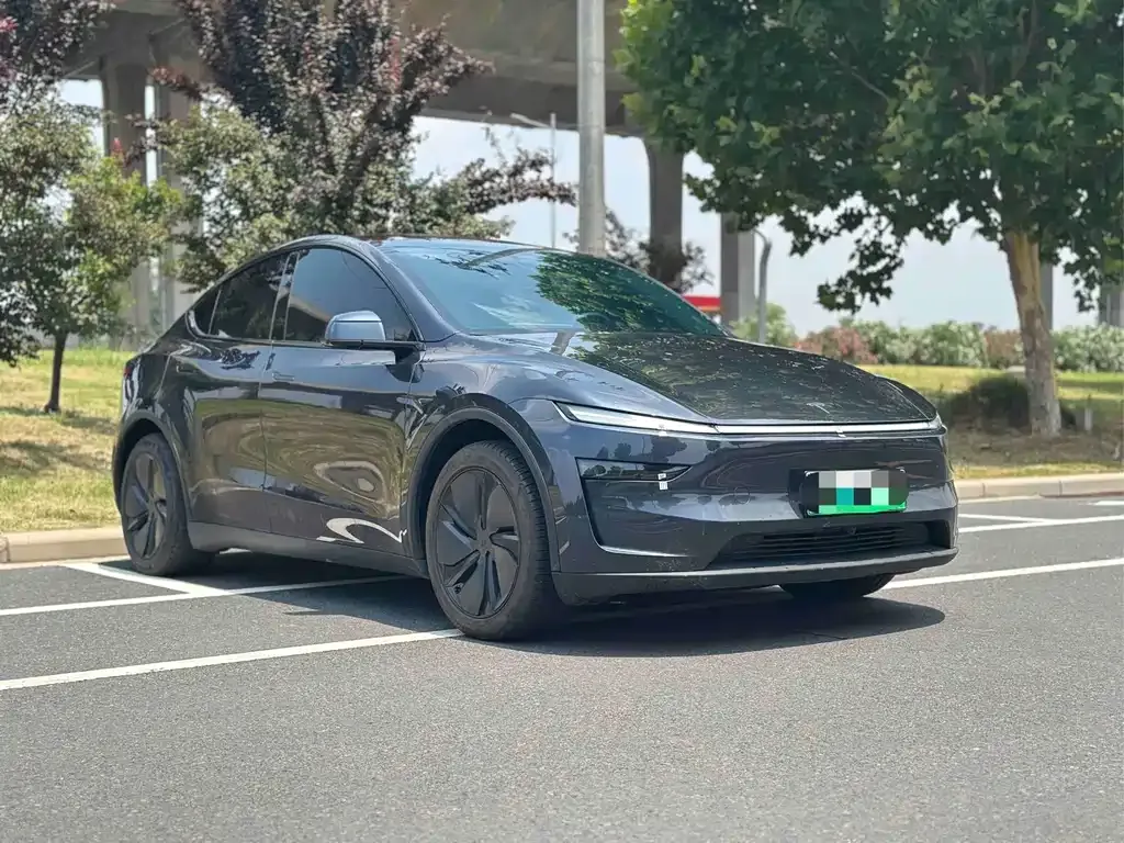 Tesla Model Y — фото 8