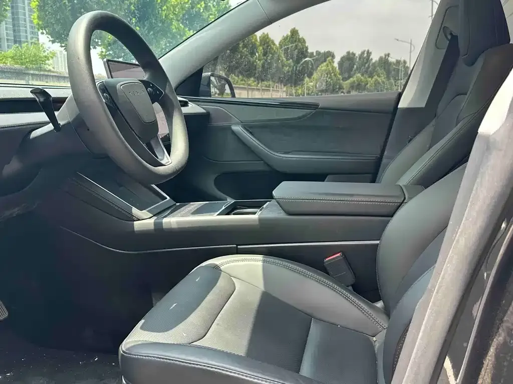 Tesla Model Y — фото 10