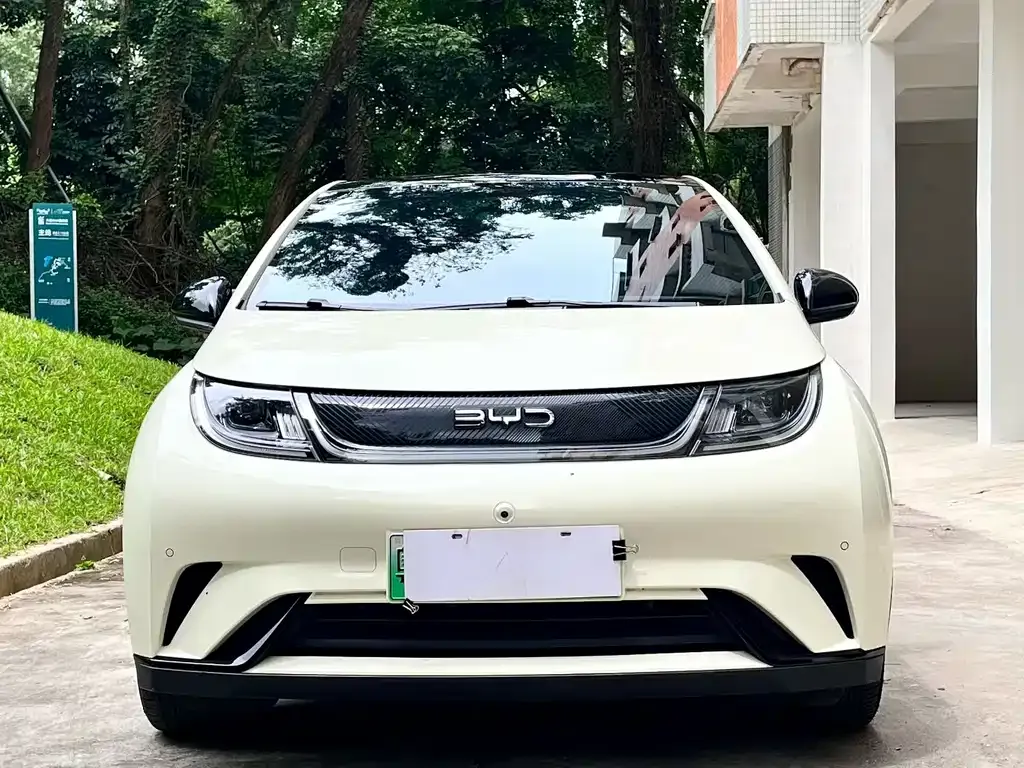 BYD Dolphin 2024 из CN, фото 9