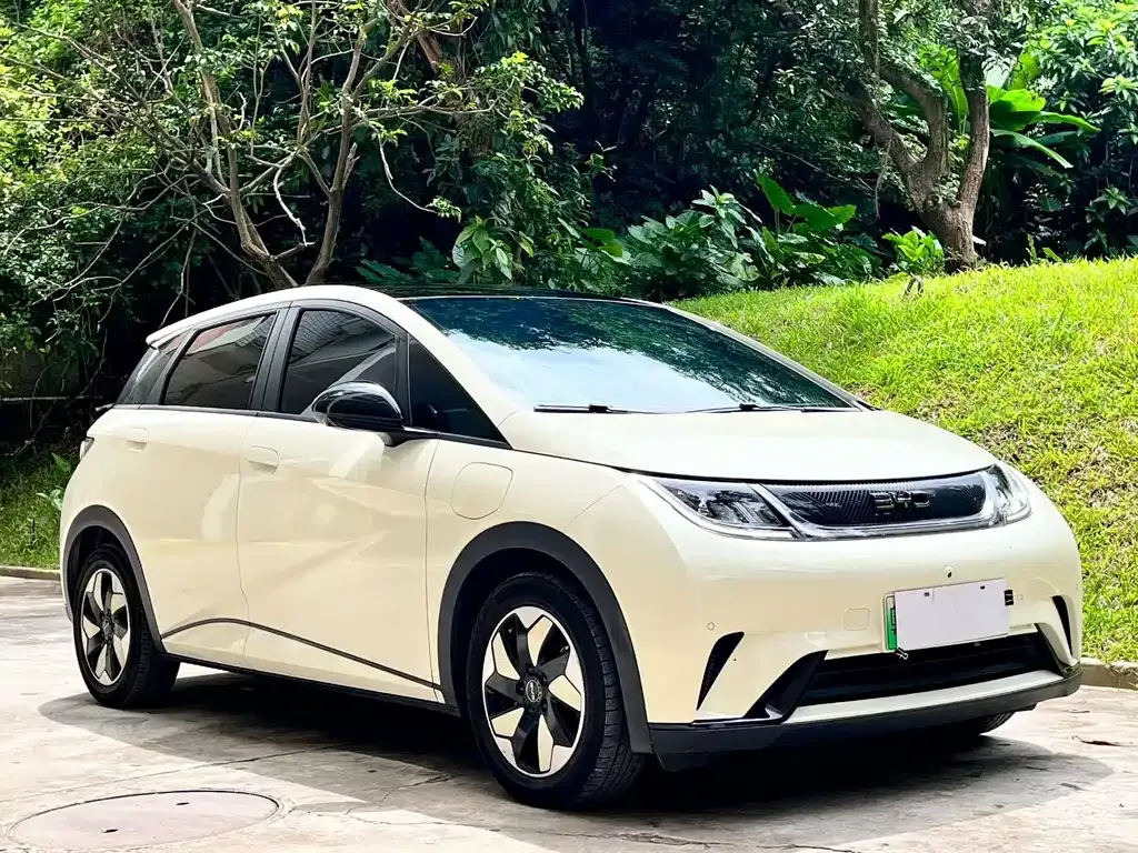 BYD Dolphin 2024 из CN, фото 10
