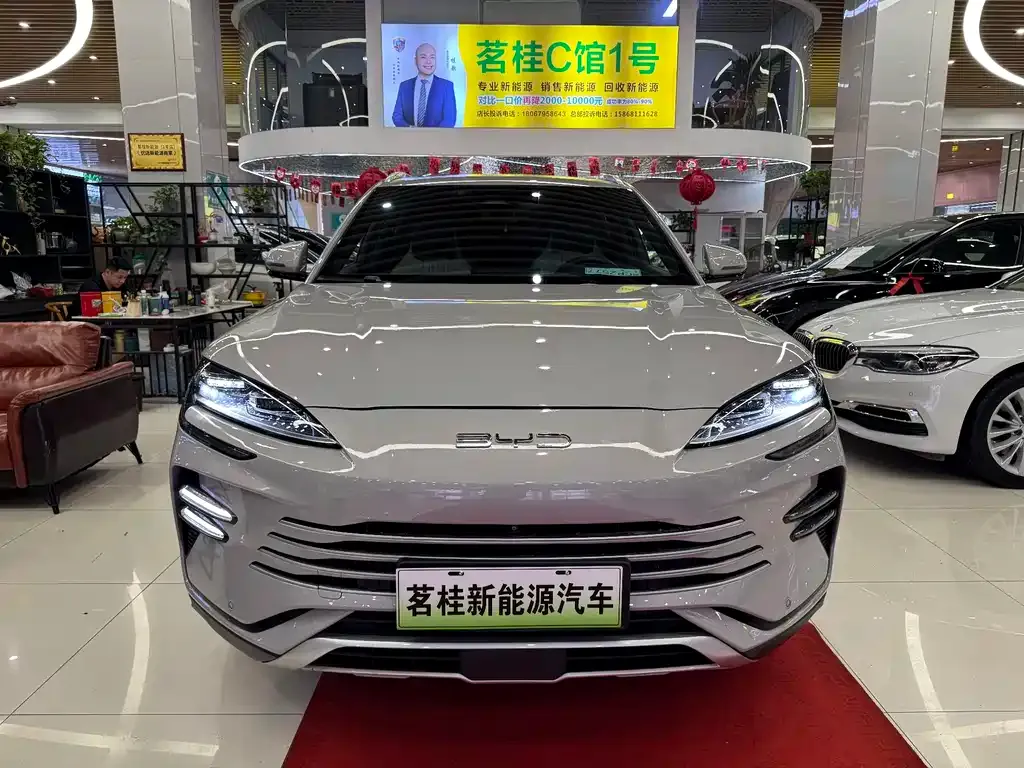 BYD PLUS New Energy — фото 5