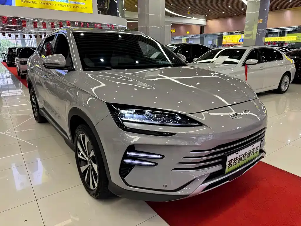 BYD PLUS New Energy — фото 9