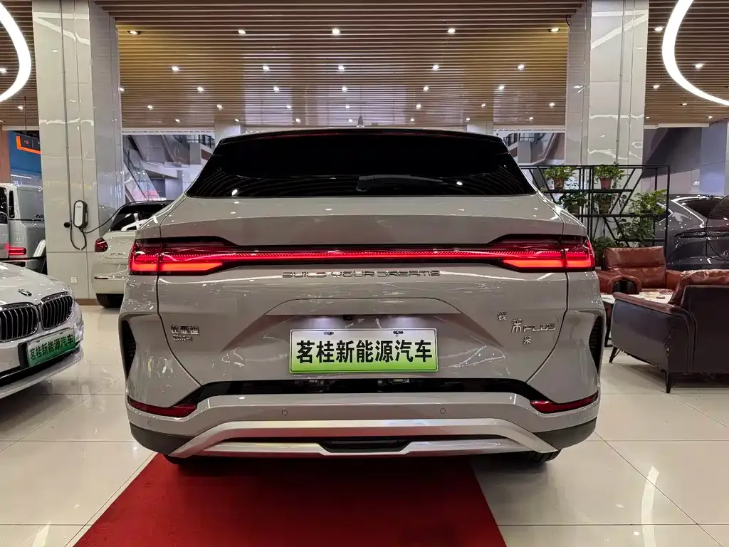 BYD PLUS New Energy — фото 6