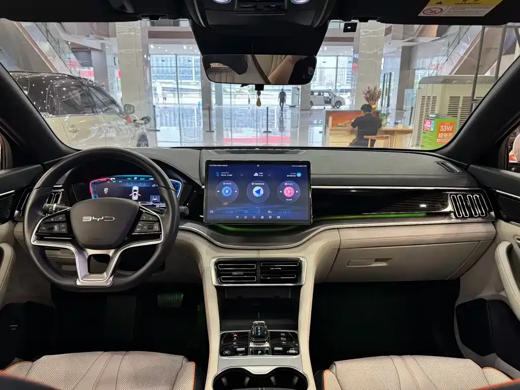 BYD PLUS New Energy — фото 8