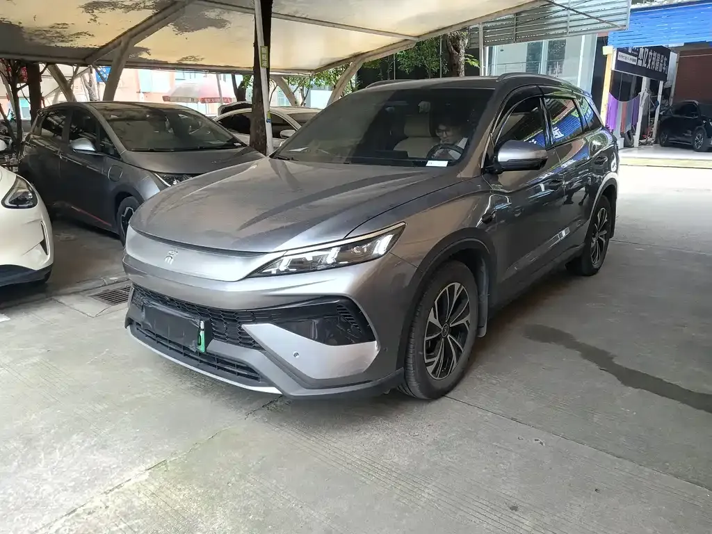 BYD Pro New Energy — фото 1