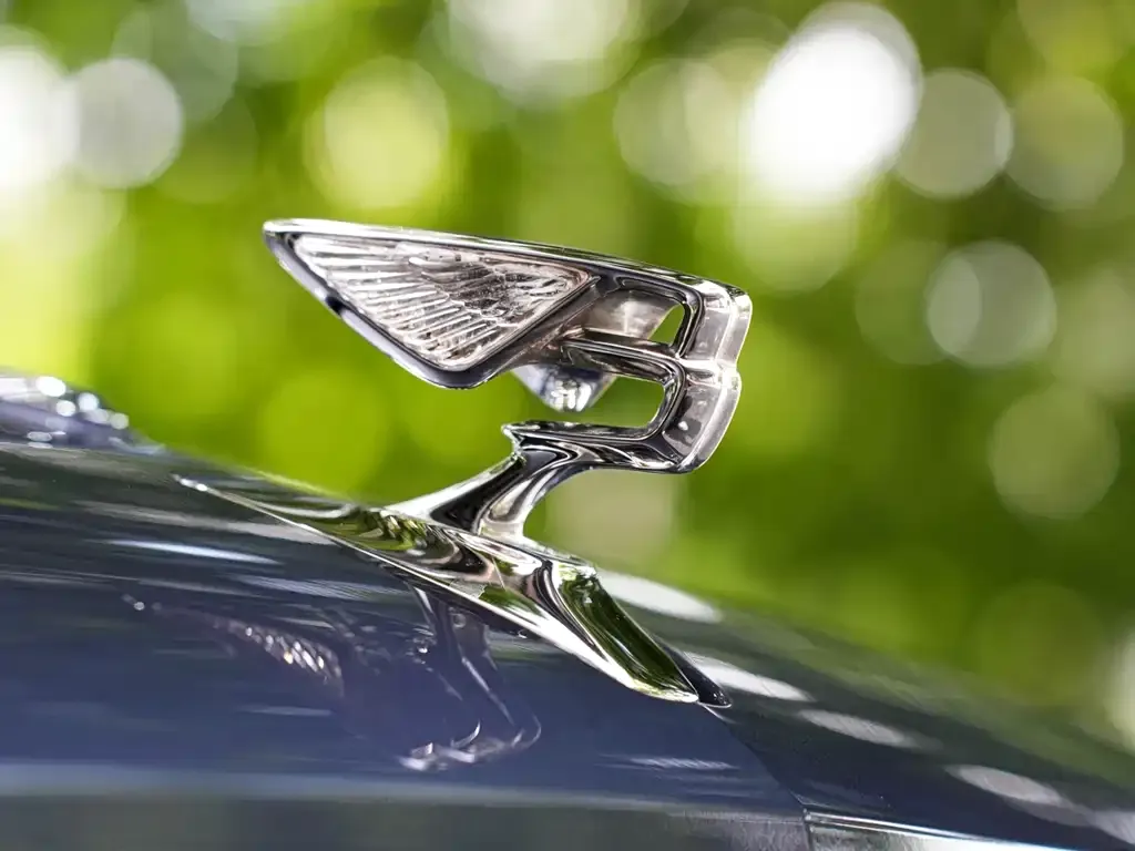 Bentley Flying Spur — фото 3
