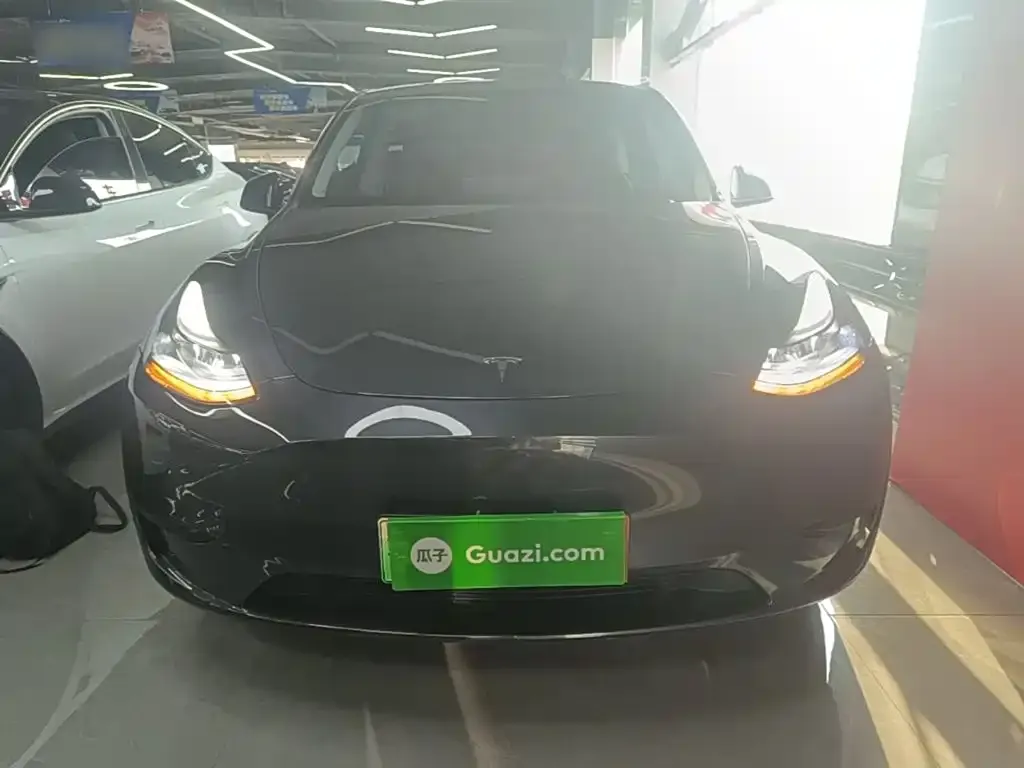 Tesla Model Y — фото 6