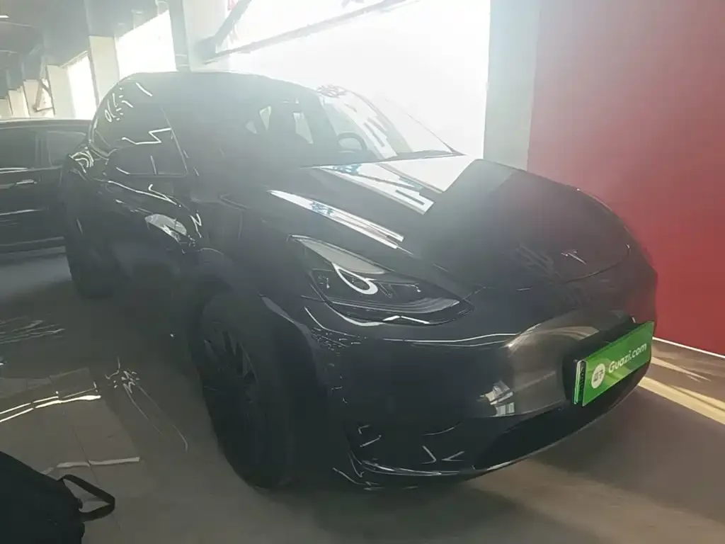 Tesla Model Y — фото 9