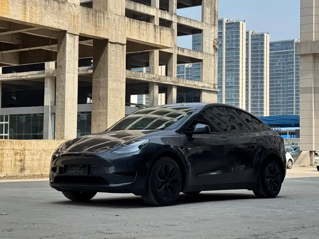 Tesla Model Y — фото 1
