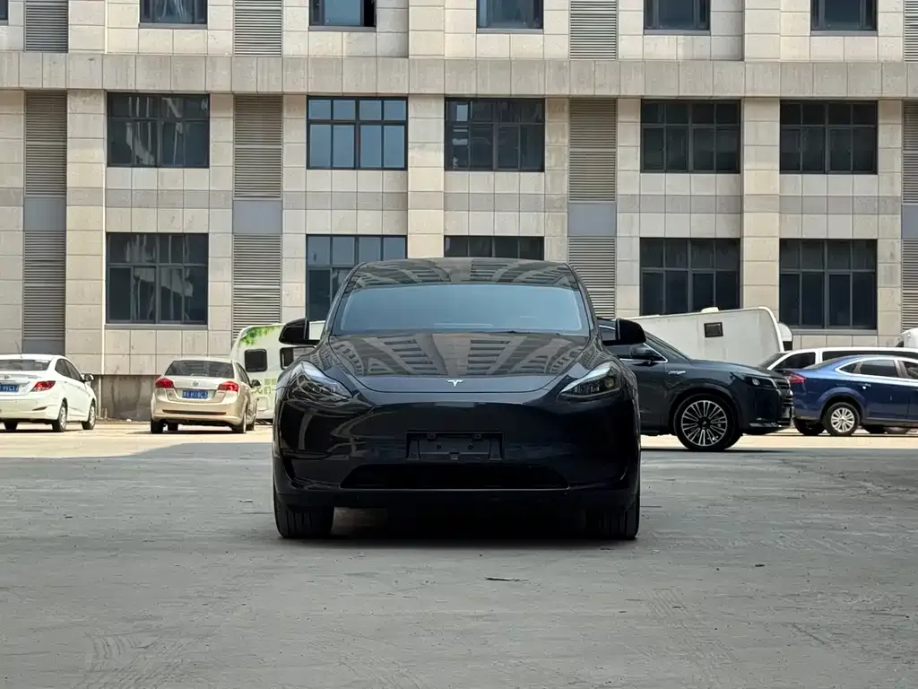 Tesla Model Y — фото 6