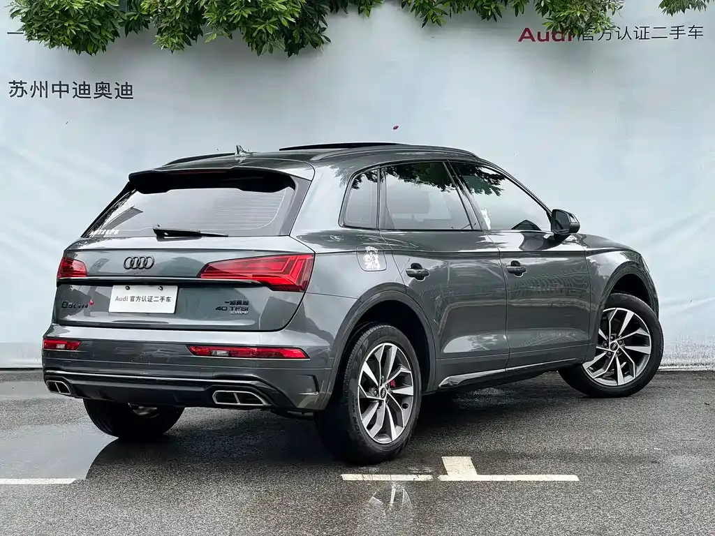 Audi Q5L 2024 из CN, фото 10