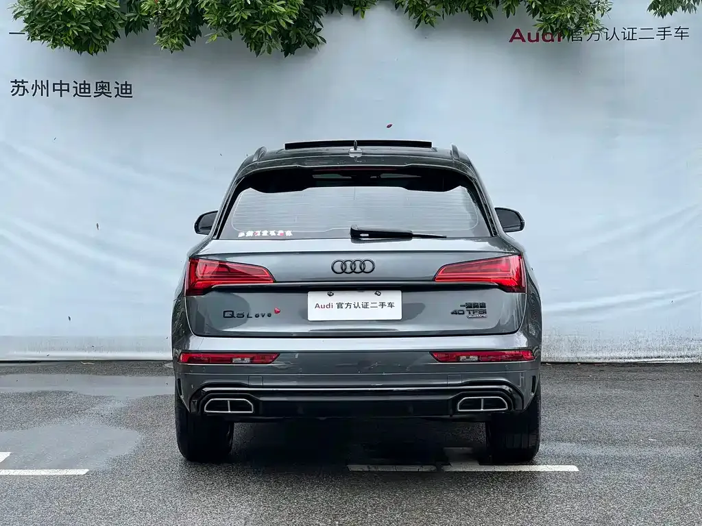 Audi Q5L 2024 из CN, фото 9