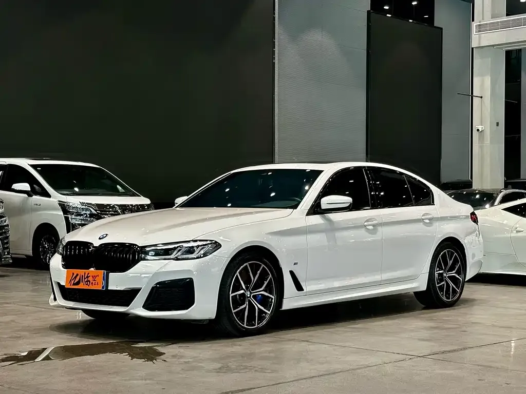 BMW 5 Series (Import) — фото 1