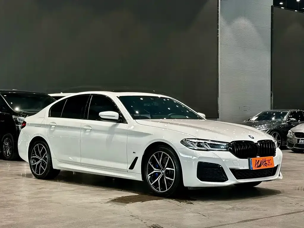BMW 5 Series (Import) — фото 5
