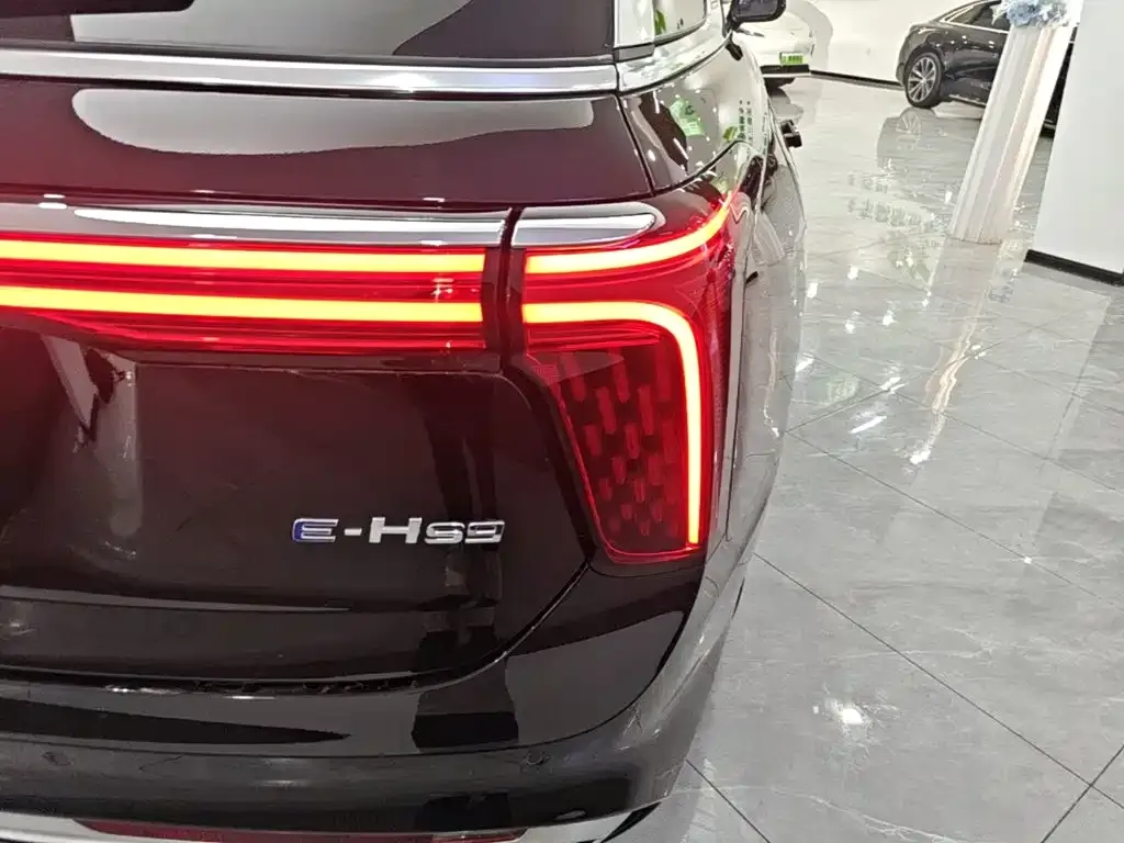 Hongqi E-HS9 — фото 10