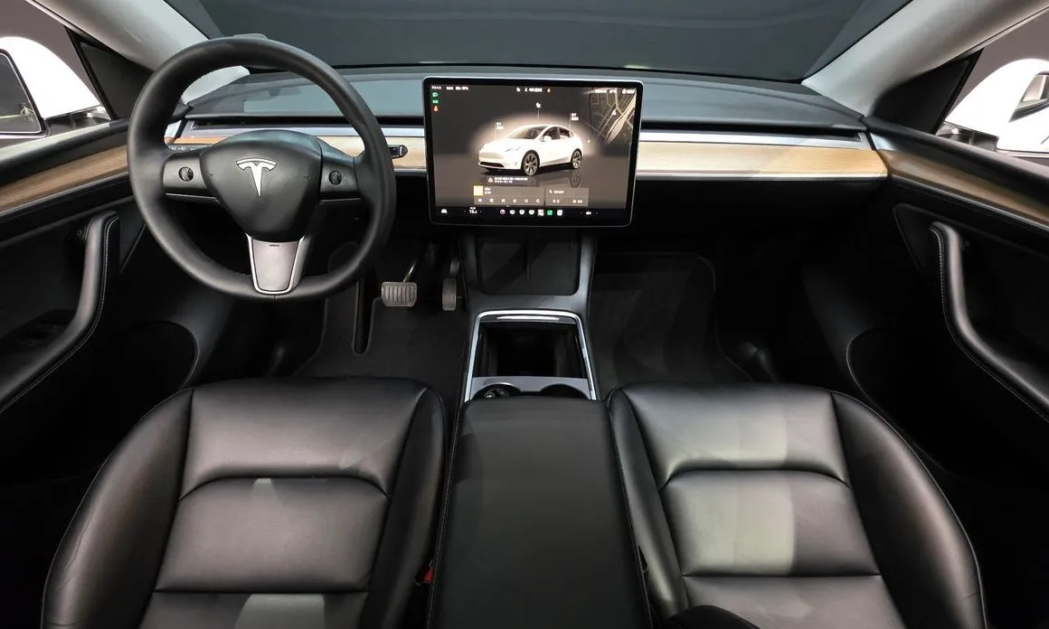 Tesla Model Y — фото 8