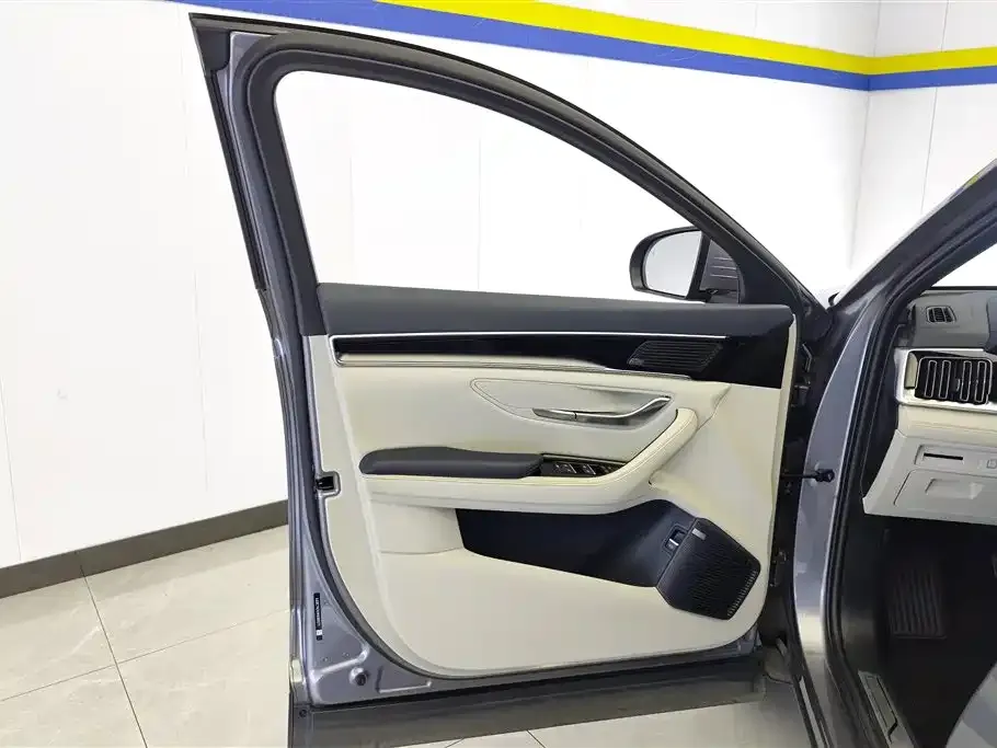 BYD PLUS New Energy — фото 4