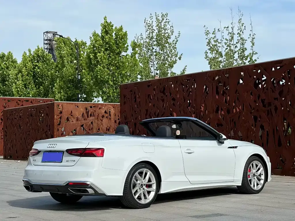Audi A5 (Import) — фото 5