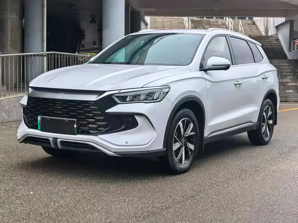 BYD Pro New Energy