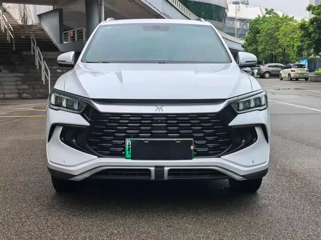 BYD Pro New Energy 2024 из CN, фото 5