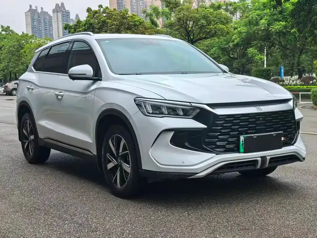 BYD Pro New Energy 2024 из CN, фото 6