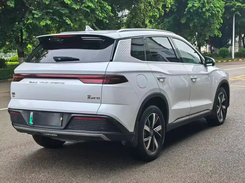 BYD Pro New Energy 2024 из CN, фото 7