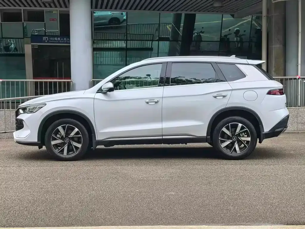 BYD Pro New Energy 2024 из CN, фото 3