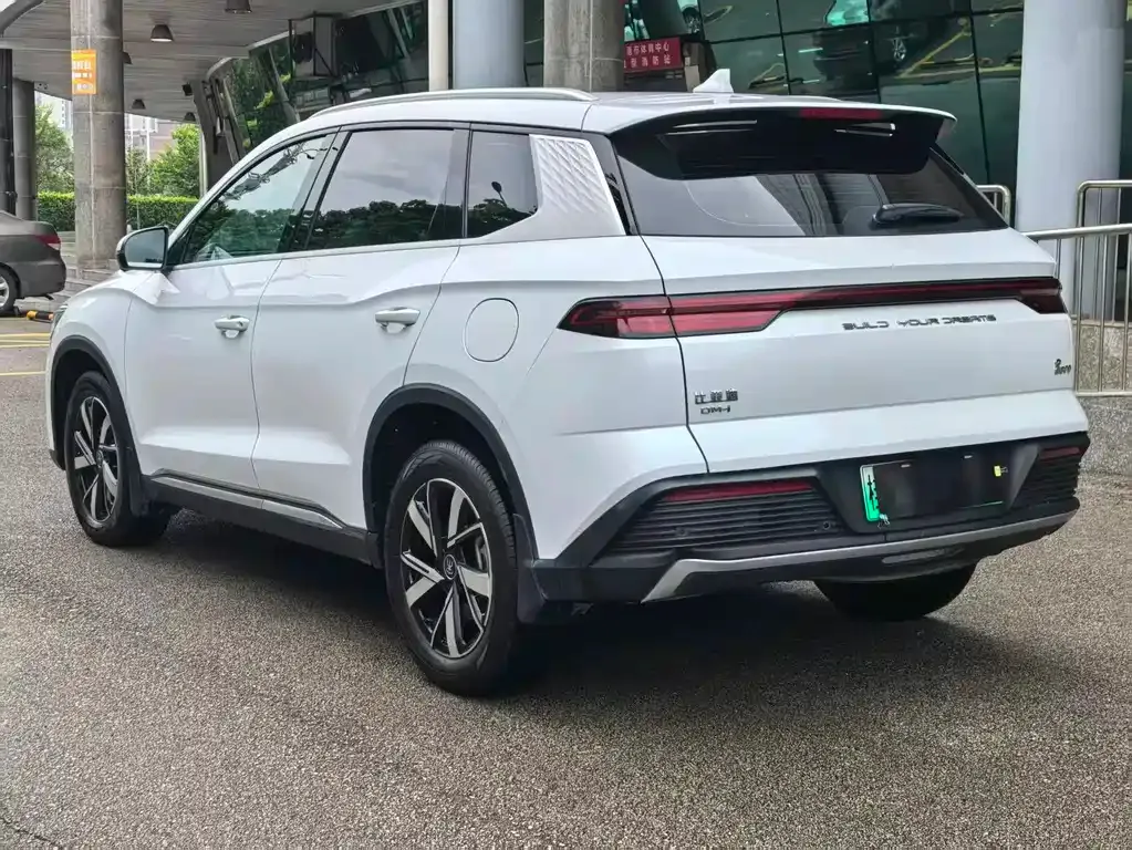 BYD Pro New Energy 2024 из CN, фото 8