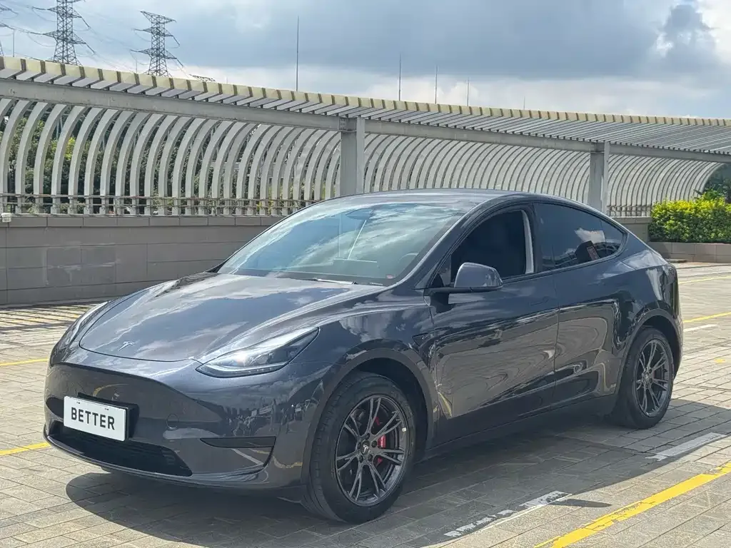Tesla Model Y — фото 1