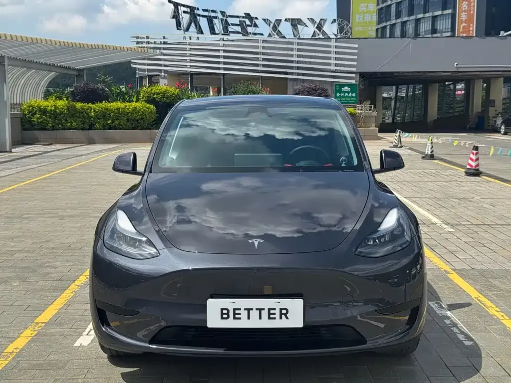 Tesla Model Y — фото 3