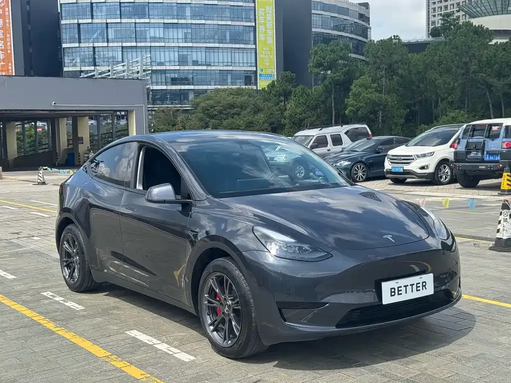 Tesla Model Y — фото 4