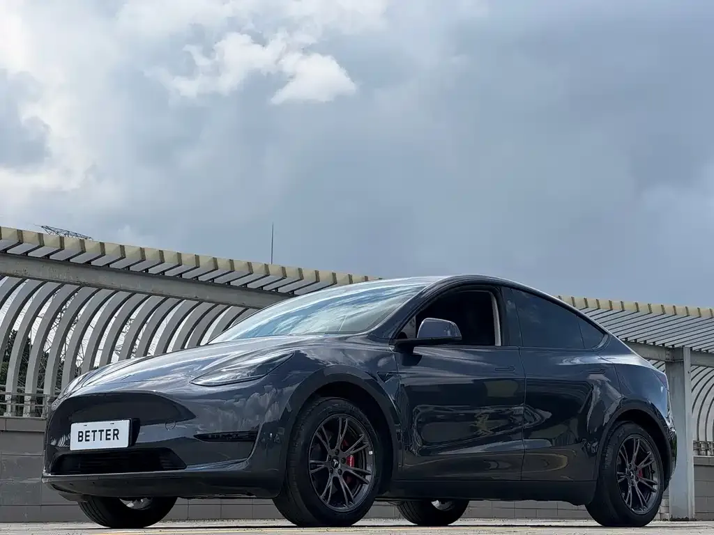 Tesla Model Y — фото 2