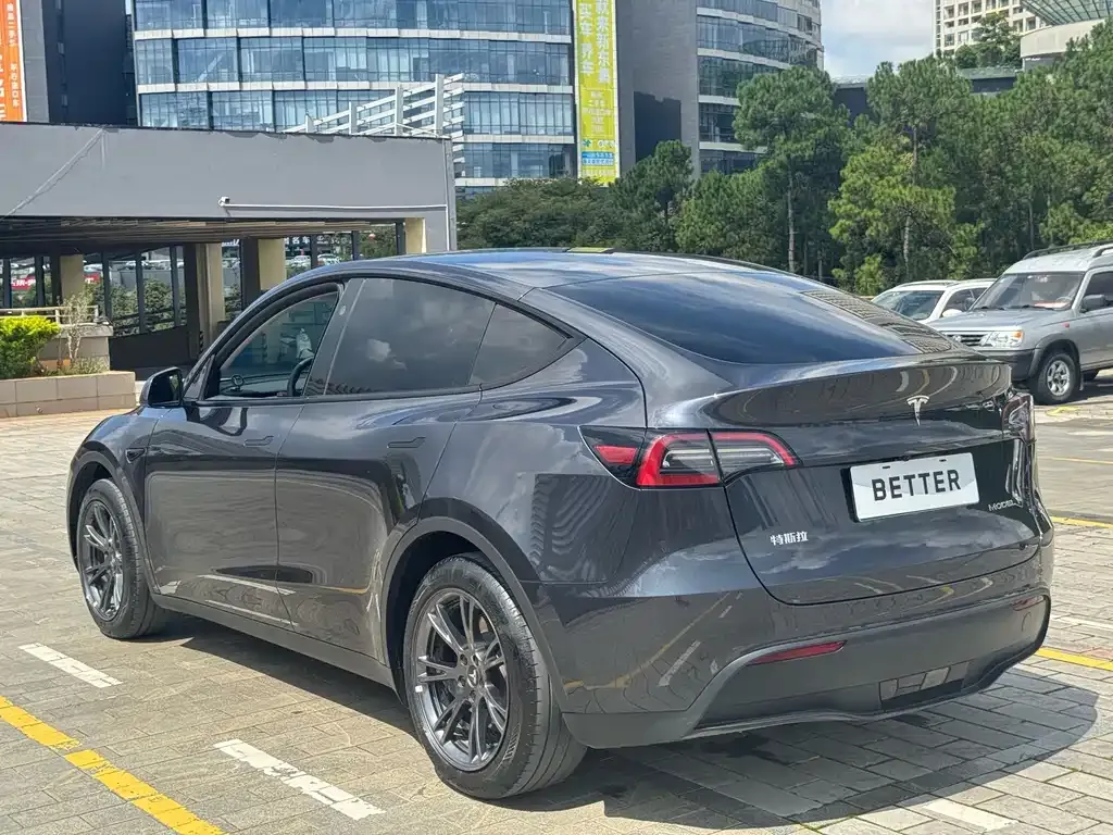 Tesla Model Y — фото 6