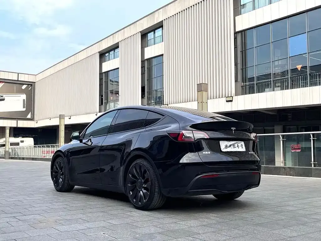 Tesla Model Y — фото 3