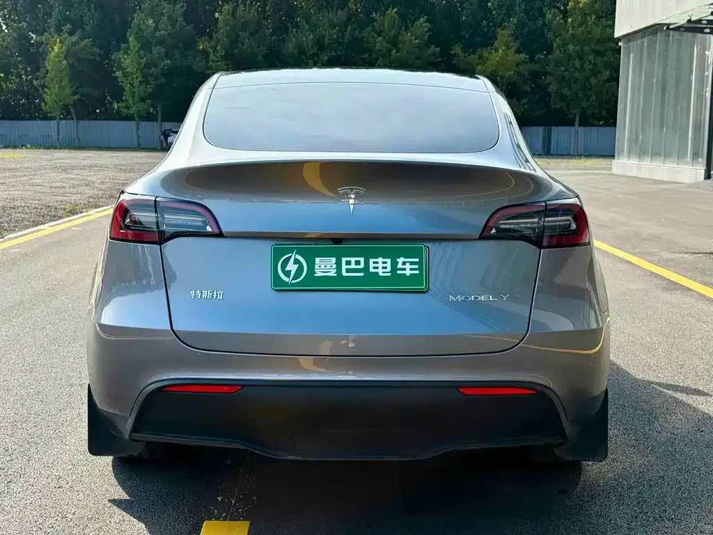 Tesla Model Y — фото 3