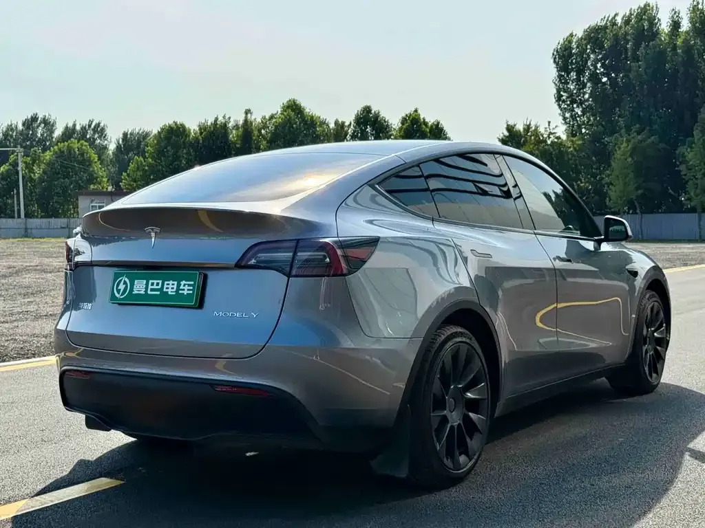 Tesla Model Y — фото 6