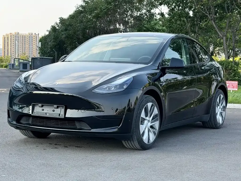 Tesla Model Y — фото 1