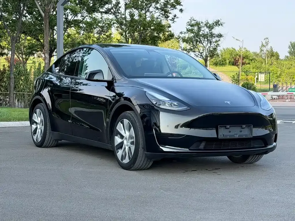 Tesla Model Y — фото 10