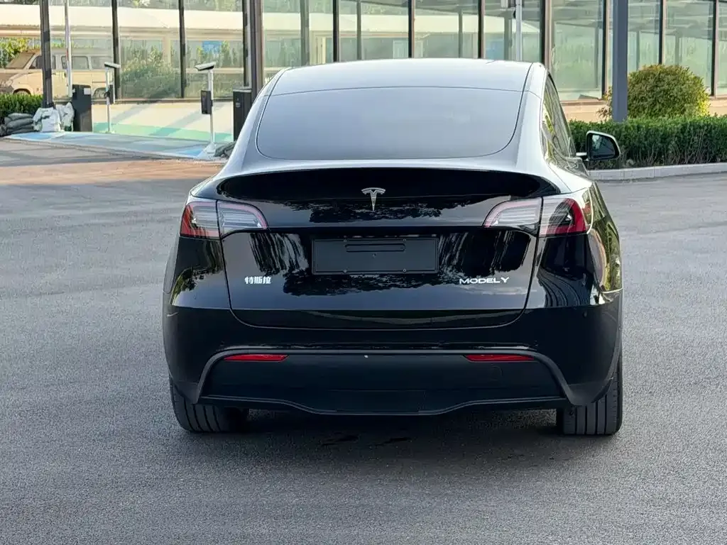 Tesla Model Y — фото 6