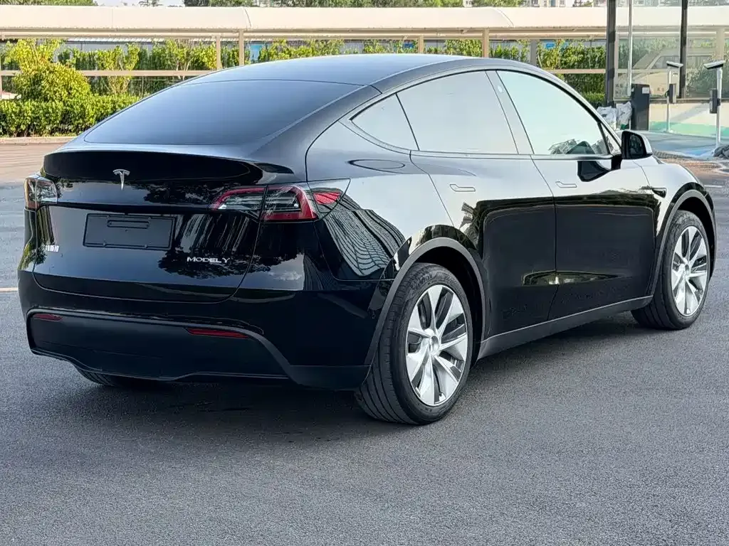 Tesla Model Y — фото 8