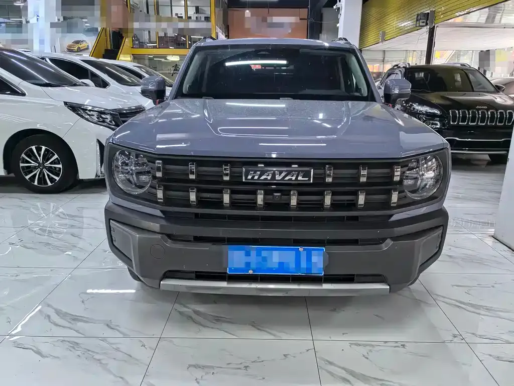 Haval Cool Dog 2023 из CN, фото 9
