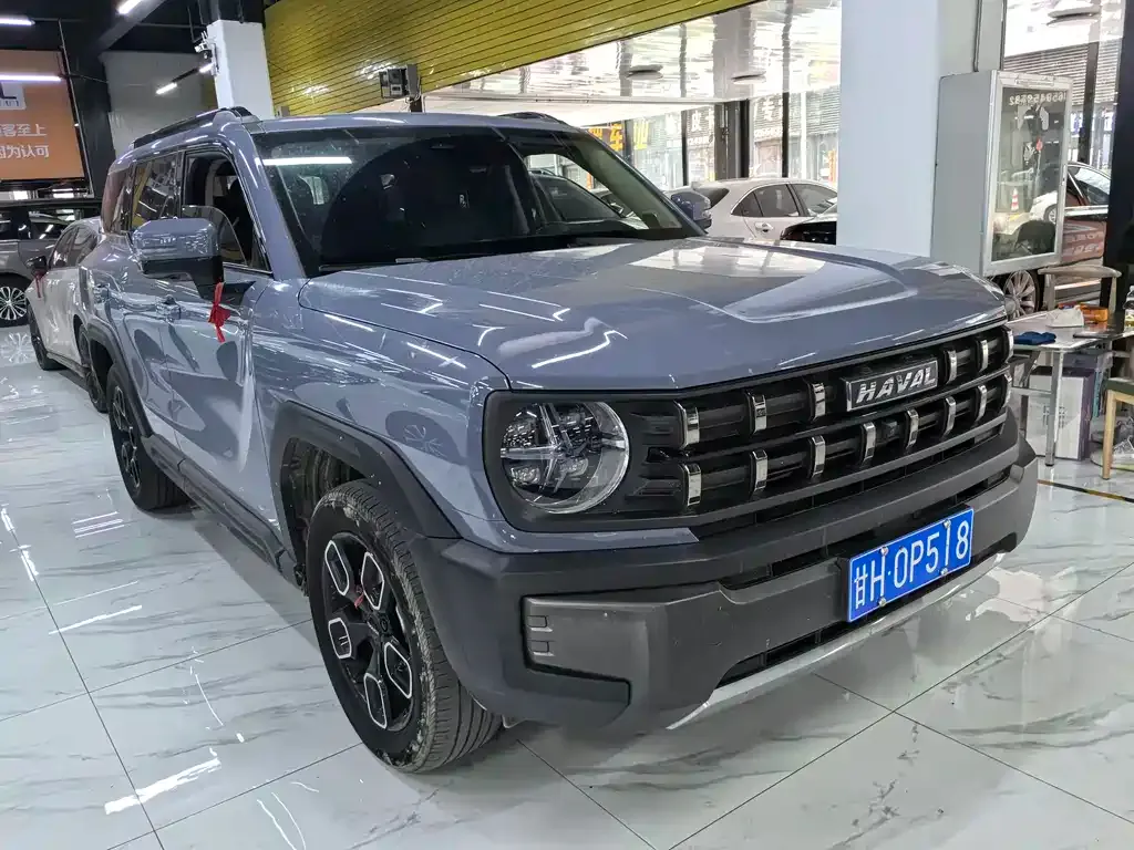 Haval Cool Dog 2023 из CN, фото 8