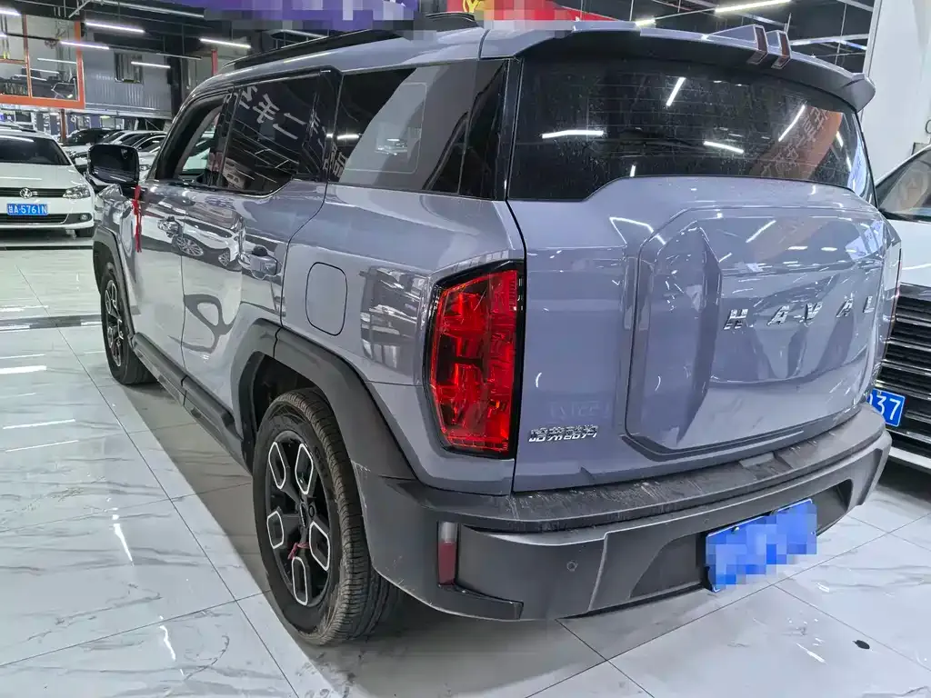 Haval Cool Dog 2023 из CN, фото 10