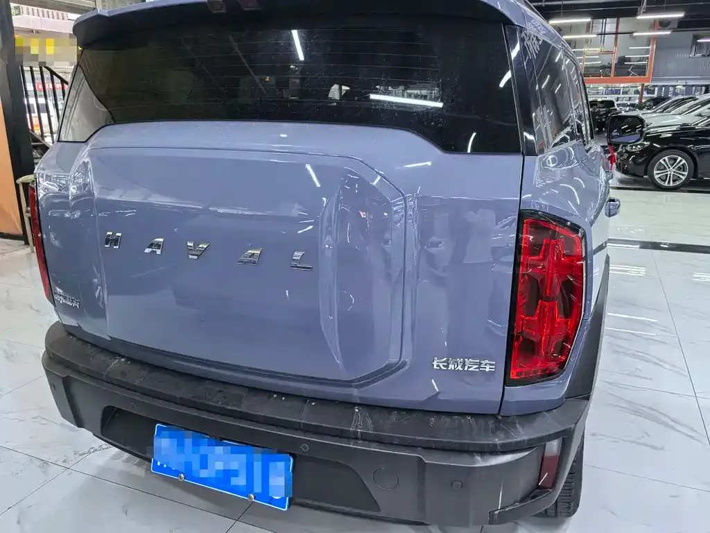 Haval Cool Dog 2023 из CN, фото 6