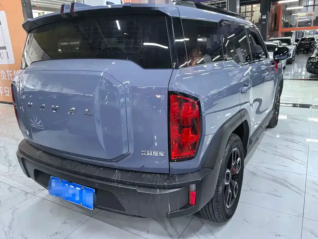 Haval Cool Dog 2023 из CN, фото 5