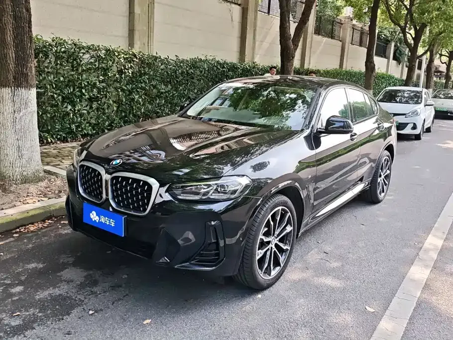 BMW X4 — фото 1