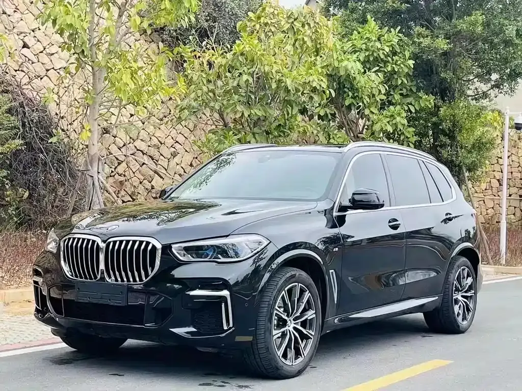 BMW X5 — фото 1