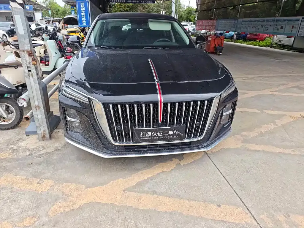 Hongqi H5 2024 из CN, фото 8